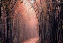 2024 U17亚洲杯预选赛直播在哪看？赛程、参赛队和看点全解析